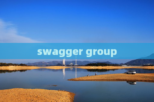 swagger group swagger group